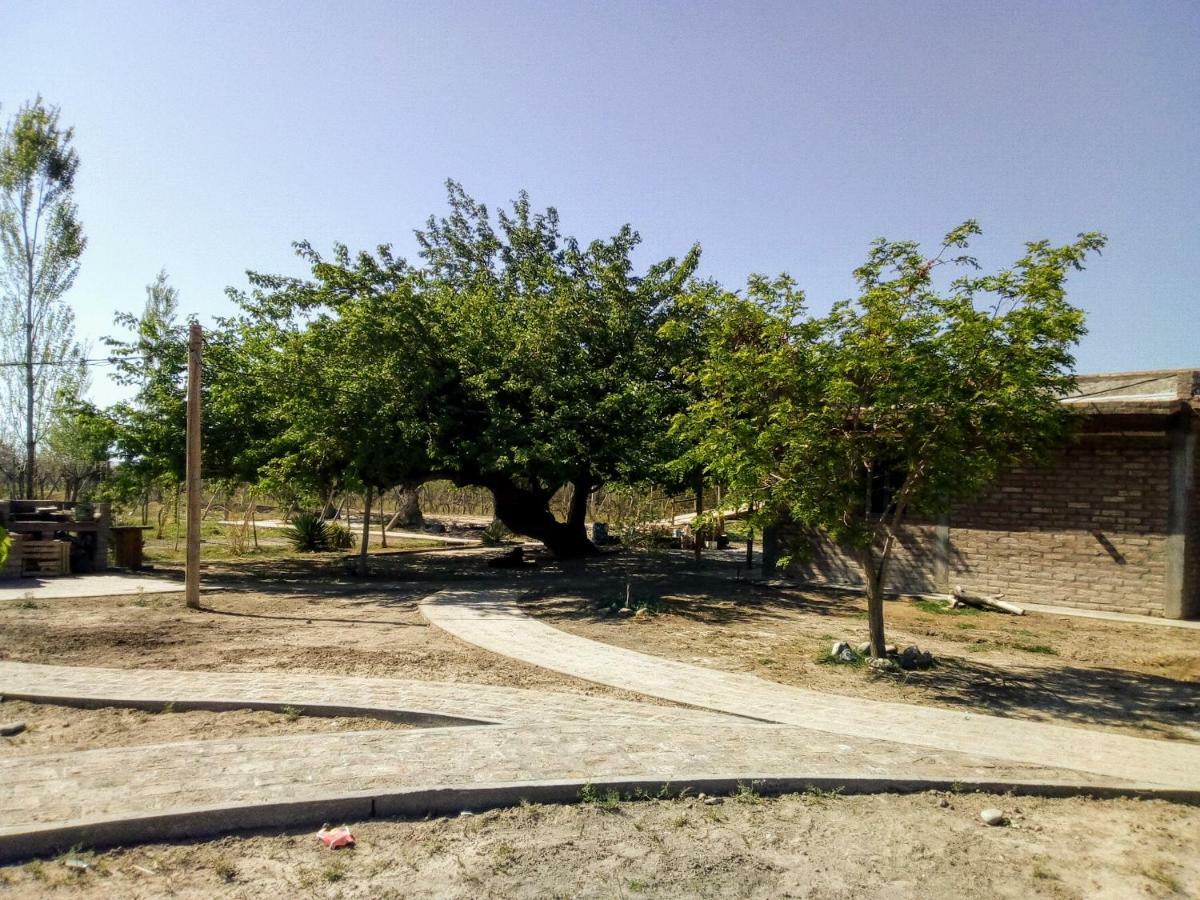 Cabanas De La Bodega Romano-Pin Albardón المظهر الخارجي الصورة